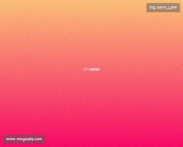 2014年太极锦标赛